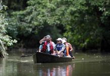 La exhuberante zona de Tortuguero se ha consagrado como un ejemplo del turismo sostenible en Costa Rica, el cual implica la unión de la conservación de la biodiversidad con el desarrollo social y económico de las comunidades.