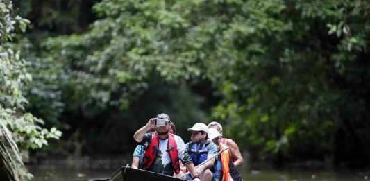 La exhuberante zona de Tortuguero se ha consagrado como un ejemplo del turismo sostenible en Costa Rica, el cual implica la unión de la conservación de la biodiversidad con el desarrollo social y económico de las comunidades.