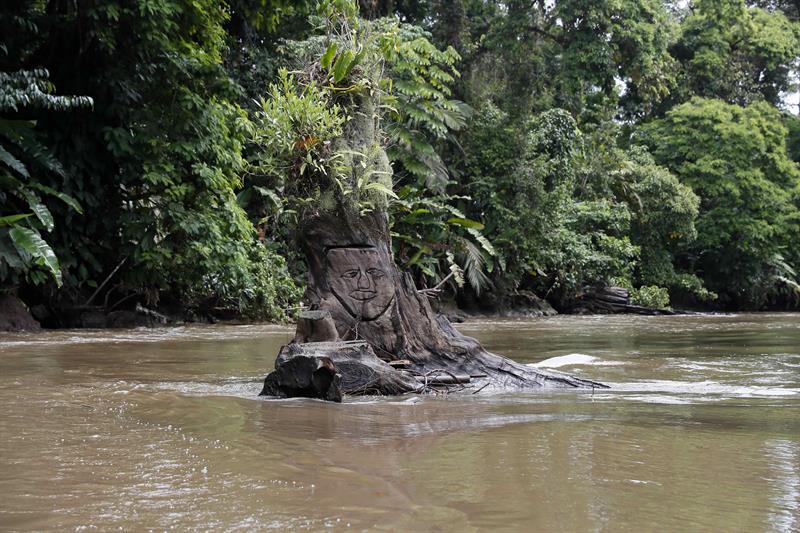 vista de los canales del Parque Nacional Tortuguero, en Costa Rica.