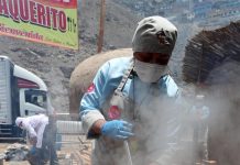 El pollo latino, sabor incomparable El pollo,una carne sana y, hoy, barata, presente en todo el mundo y sin ningún problema religioso.