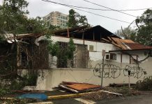 PUERTO RICO EN EMERGENCIA, Pero aquí, aparte de la politiquería de sal-tu-pa-ponerme-yo, no hay más na’. No hay una organización cívica boricua que haga debates, promueva rencuentros que aborde su problemática.