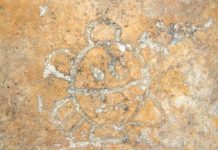 Dibujos de los siglos XIV y XV, que aparentan resaltar ritos espirituales de los indios taínos. (foto twitter)
