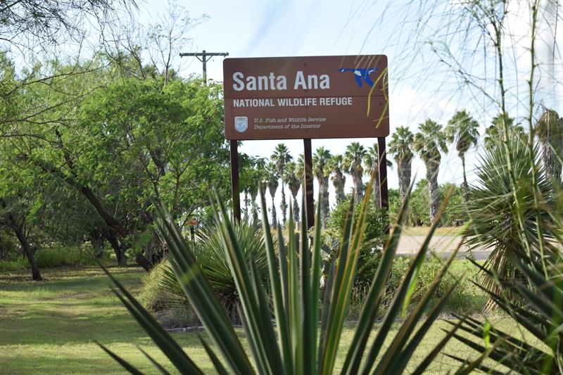 Fotografía del 14 de noviembre de 2017 que muestra una vista del Refugio Nacional de Vida Silvestre Santa Ana, en Álamo, Texas
