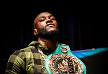 Wilder destruye en el primer asalto a Stiverne y retiene su título de campeón mundial de los pesos pesados El campeón mundial de los pesos pesados, el estadounidense Deontay Wilder, cumplió lo prometido al poner fuera de combate al haitiano canadiense Bermane Stiverne en el primer asalto y retuvo su título