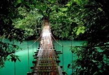 El ministro de Turismo de Costa Rica, Mauricio Ventura, destacó hoy el posicionamiento mundial del país como referente en turismo sostenible en los ejes sociocultural, ambiental y económico.