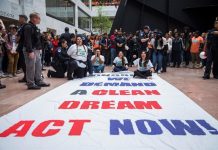 Detienen a activistas que clamaban por un "Dream Act limpio" Detienen a activistas en Phoenix que clamaban por un "Dream Act limpio"