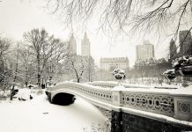 Nueva York Clima