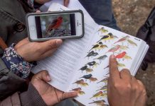 Habitantes voluntarios mientras observan una comunidad de aves.
