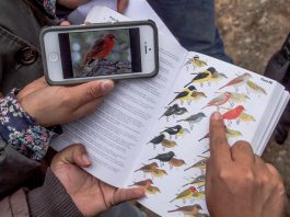 Habitantes voluntarios mientras observan una comunidad de aves.