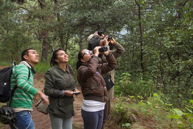 Voluntarios realizan el monitoreo de las aves.