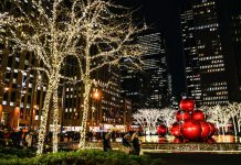 Navidad es una época especialmente emotiva y la Ciudad de Nueva York ofrece innumerables opciones para disfrutarla en forma espectacular. 
