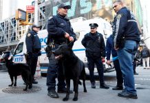 El presunto responsable del atentado de este lunes en Nueva York, Akayed Ullah, ha sido acusado formalmente de varios delitos de terrorismo.