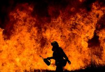 Incendios en el sur de California arrasan más de 1.000 casas y edificios Una cocina improvisada en un campamento ilegal causó el incendio "Skirball", que se desató el pasado 6 de diciembre y amenazó con consumir Bel-Air, uno de los barrios más lujosos de Los Angeles. (foto archivo)
