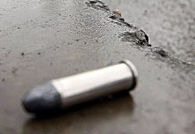 La Policía de Miami-Dade y las autoridades de este condado del sur de Florida investigan hoy la muerte por arma de fuego de un niño de 2 años, presuntamente víctima de una bala perdida.