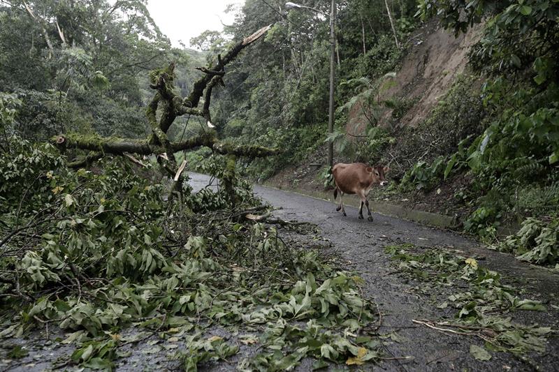 Un frente fr&iacute;o que afecta a Costa Rica desde el s&aacute;bado con lluvias y r&aacute;fagas de viento de hasta 100 kil&oacute;metros por hora, ha dejado hasta el momento dos turistas extranjeros fallecidos.