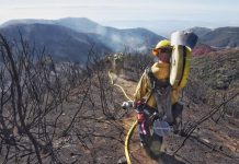Los bomberos controlan casi por completo el incendio "Thomas" en California "Thomas" ha arrasado más de 113.967 hectáreas