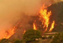 Un bombero murió hoy durante las labores de extinción del incendio "Thomas" que ha calcinado más de 98.000 hectáreas, en el sur de California (EE.UU.).