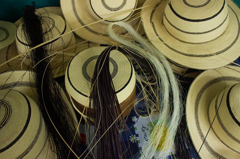 Paname&ntilde;os celebran declaraci&oacute;n del sombrero pintao como patrimonio humanidad.