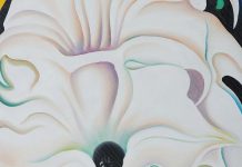 Georgia O’Keeffe - Visiones de Hawaii en el Jardín Botánico de Nueva York Georgia O'Keeffe Nueva York