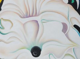 Georgia O’Keeffe - Visiones de Hawaii en el Jardín Botánico de Nueva York Georgia O'Keeffe Nueva York