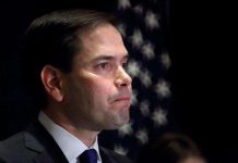 Piden a Marco Rubio que impulse la anexión de Puerto Rico a EEUU en el Senado Senador Marco Rubio.