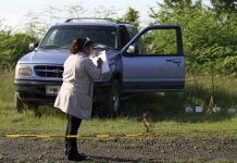 Encuentran en fosa clandestina a director de policía secuestrado en México El director de la policía del municipio mexicano de Elota, quien había sido secuestrado hace una semana, fue hallado sin vida en una fosa clandestina