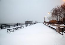 Una fuerte nevada comenzó a castigar a primeras horas de hoy la ciudad de Nueva York y sus alrededores.