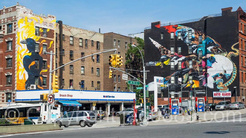 Dominicanos Nueva York