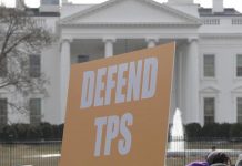 Declaracion Legisladora Monica Martinez ante cancelación TPS