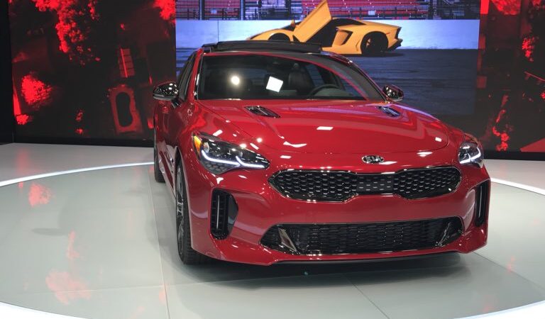 auto La Procuraduría Federal de Protección al Ambiente (Profepa) de México informó hoy que multó hoy a la empresa automotriz Kia Motors con el equivalente a 378.179 dólares por vender autos sin certificado ambiental.