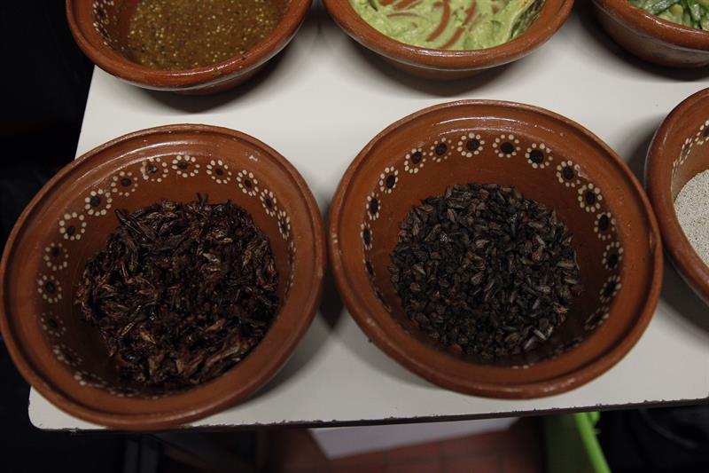 Platillos preparados por el chef mexicano Irad Santacruz.