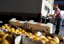 Inflación crece más de lo esperado
