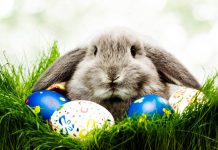 Celebra la Pascua en Queens Queens Pascua