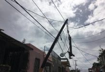 Medio año tras el huracán falta por energizar 7,33% clientes eléctrica en Puerto Rico