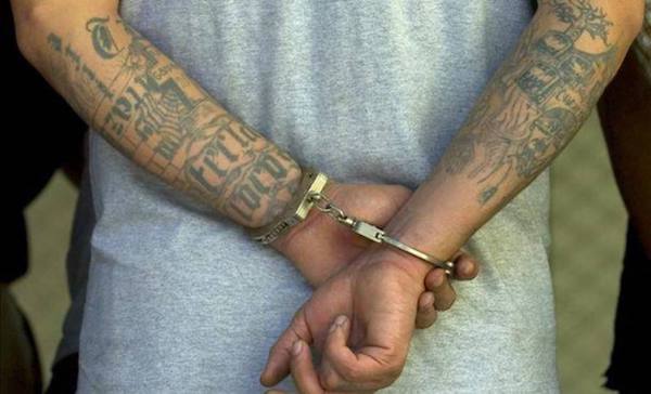 Un integrante de la pandilla Mara Salvatrucha, tambi&eacute;n conocida como MS-13, se declar&oacute; hoy culpable de cargos de homicidio 
