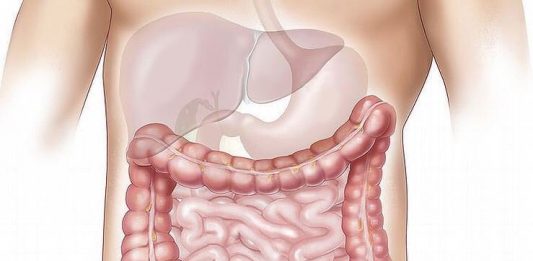El hígado graso es una enfermedad "silenciosa" que, sin un diagnóstico oportuno, puede derivar en cirrosis o cáncer de hígado y llevar a la muerte