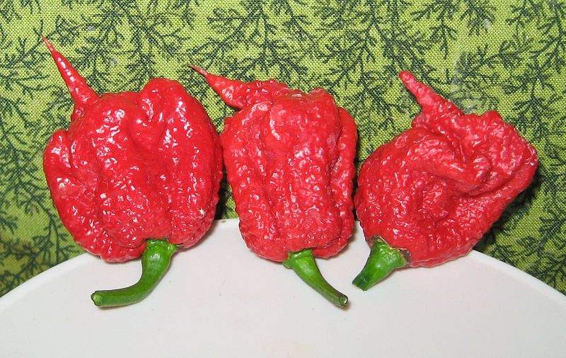 chile Un hombre que participaba en un concurso de chiles picantes sufrió el primer caso registrado del síndrome de vasoconstricción cerebral reversible.(foto de twitter).