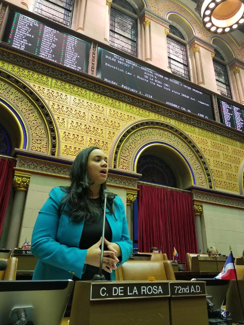 La Asambleísta Carmen De La Rosa, patrocinadora del Proyecto de Ley dijo que "Negar ayuda financiera a los estudiantes, les niega una educación universitaria, que para muchos, los obliga a vivir una vida de pobreza y en las sombras”.