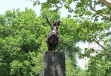 Argentinos celebran la Revolución de Mayo en Nueva York