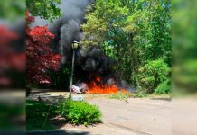 Al menos un muerto al estrellarse avión en Long Island Al menos una persona falleció hoy al estrellarse un avión en una zona residencial de Long Island, en el estado de Nueva York