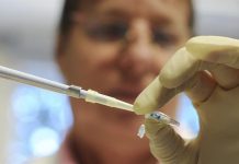 ¿Quisieras que te hicieran pruebas genéticas como parte de tu chequeo anual? Para los pacientes de Geisinger Health System a partir del próximo mes, el sistema con sede en Pennsylvania ofrecerá realizar la secuencia de ADN a 1,000 pacientes, con la meta de extender la oferta a sus 3 millones de clientes.