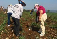 Fotografía de archivo del 14 de marzo de 2017, que muestra a integrantes del Colectivo Solecito en el área donde se encontraron más de 250 cráneos humanos, de acuerdo a investigaciones de la Policía Federal e integrantes de Solecito, en el Estado de Veracruz (México).