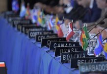 EEUU juega su mejor carta en la OEA y logra un triunfo parcial con Venezuela