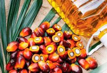 Reunión de productores latinoamericanos de aceite de palma e importadores en Miami Prohibir el aceite de palma no conseguiría detener la pérdida de biodiversidad, ya que su cultivo sería reemplazado por otros que también amenazarían la sostenibilidad medioambiental. (Foto de twitter)