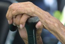 Una nueva investigación sobre la "expectativa de vida cognitiva" –la cantidad de años que pueden vivir los adultos mayores con buena salud cerebral– muestra que, después de los 65, tanto los hombres como las mujeres tienen más de una docena de años por delante con buena salud cognitiva. Y, en la última década, ese lapso de tiempo se ha ampliado.