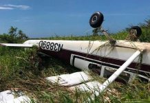 Una avioneta se precipitó hoy a tierra en un barrio de Arecibo, municipio del norte de Puerto Rico. (Foto de twitter)
