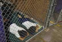 El niño, de seis años, fue rescatado por agentes migratorios de EE.UU. en Lukeville, Arizona, justo al norte de la línea fronteriza con México.