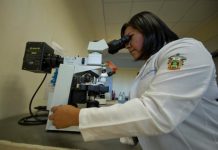 La investigación también destaca que el método es "tan confiable y menos costoso que el ultrasonido" e igualmente puede estimar la edad gestacional del feto y así calcular la fecha probable de nacimiento.