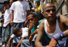 En este país hay alrededor de 33 mil pandillas nacionales y locales, integradas por 1.4 millones de miembros, de los cuales según informes oficiales, el grupo más grande de pandillas étnicas en Estados Unidos lo conforman los latinos.
