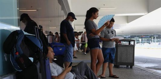 FEMA cubrirá hasta el 30 de agosto el costo del pasaje, equipaje y la carga de las mascotas de los puertorriqueños que han permanecido en Estados Unidos y piensan regresar a la isla tras el paso de los huracanes Irma y María.